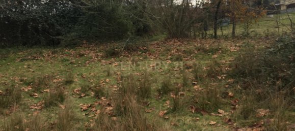 4 غرف نوم منزل في Vieira do Minho, Portugal رقم 42973 15