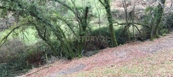 4 غرف نوم منزل في Vieira do Minho, Portugal رقم 42973 7