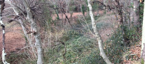 4 غرف نوم منزل في Vieira do Minho, Portugal رقم 42973 3