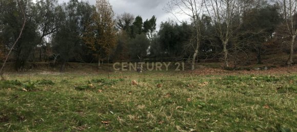 4 غرف نوم منزل في Vieira do Minho, Portugal رقم 42973 12