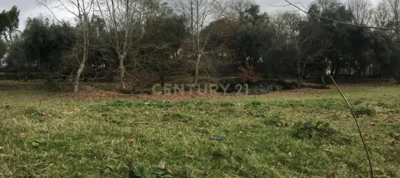 4 غرف نوم منزل في Vieira do Minho, Portugal رقم 42973 13