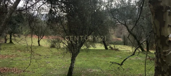 4 غرف نوم منزل في Vieira do Minho, Portugal رقم 42973 22