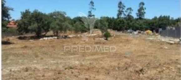 1000m² Land in Turquel, Portugal No. 63076 4