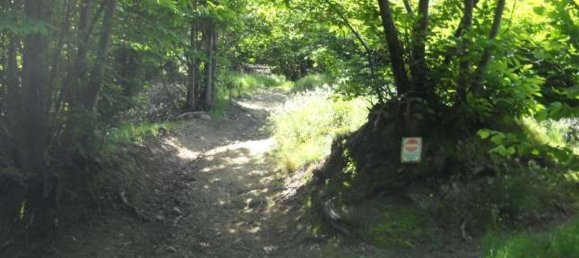 2 bedrooms House in Cumiana, Italy No. 339885 9