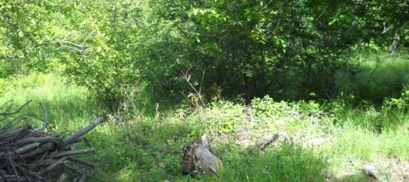 2 bedrooms House in Cumiana, Italy No. 339885 8