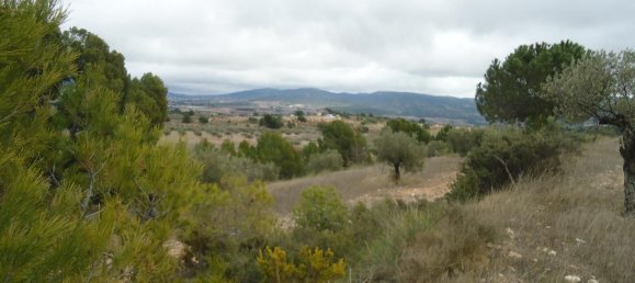  قطعة أرض في Castalla, Spain 7000متر مربع رقم 171890 7