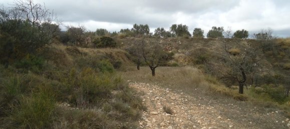  قطعة أرض في Castalla, Spain 7000متر مربع رقم 171890 8