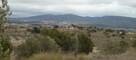  قطعة أرض في Castalla, Spain 7000متر مربع رقم 171890 5