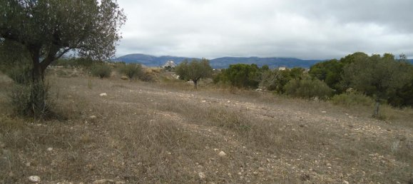  قطعة أرض في Castalla, Spain 7000متر مربع رقم 171890 12