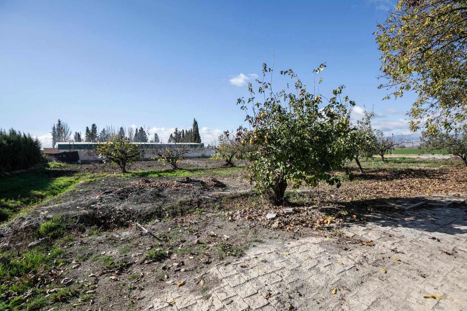 3104m² Land in Granada, Spain No. 165513