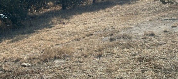 Terrain à Agios Nikolaos, Cyprus 520m² No. 26424 19