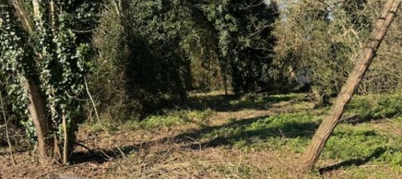 4 Schlafzimmer Haus in Gironde, France, Nr. 276456 3