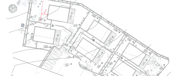 3 chambres Villa à Pegeia, Cyprus No. 67268 6