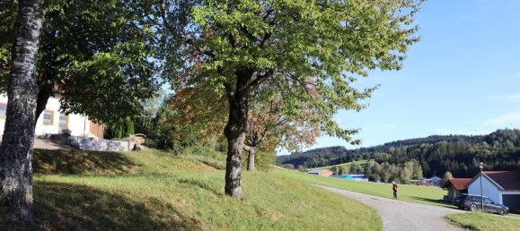 Terrain à Freyung-Grafenau, Germany No. 119111 3