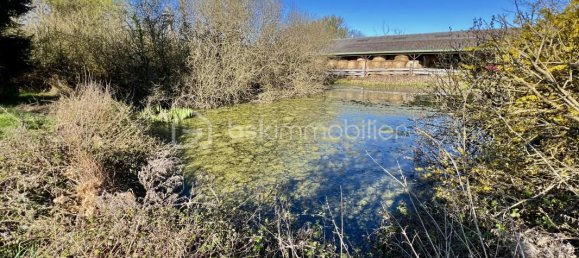 6 Schlafzimmer Haus in Yonne, France, Nr. 274760 16