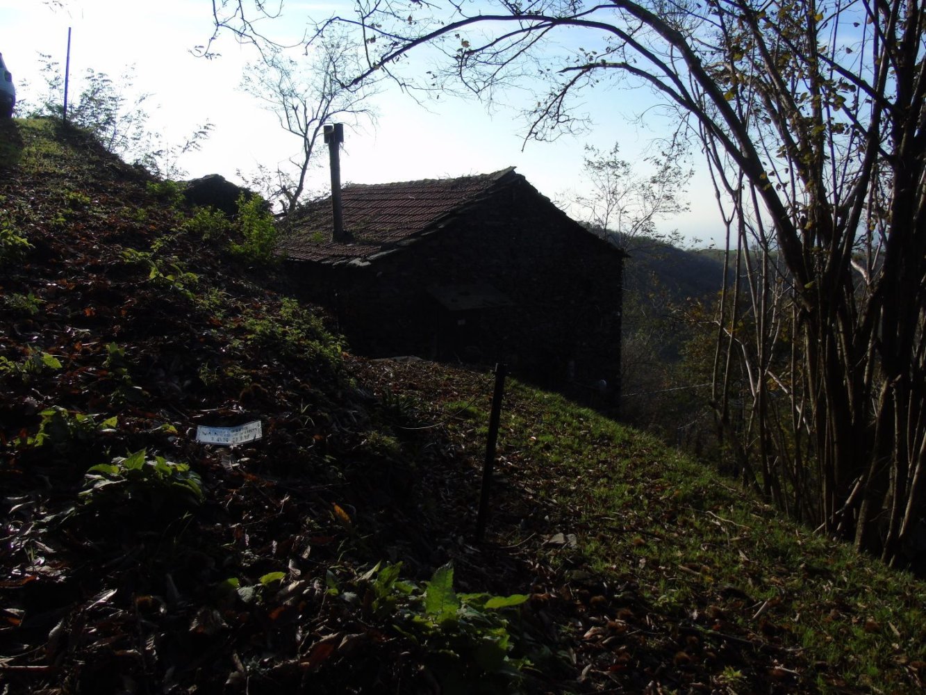 3-Zimmer Haus in Varazze, Italy, Nr. 133992