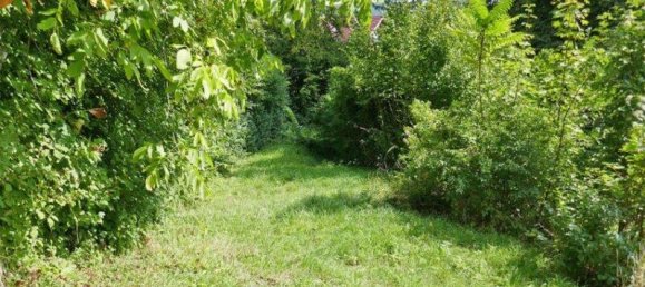 778m² Land in Tulbing, Austria No. 36933 8