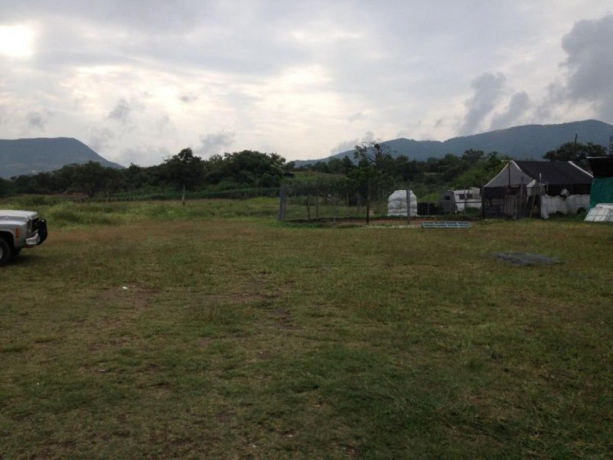 Grundstück in Tonatico, Mexico, Nr. 203888