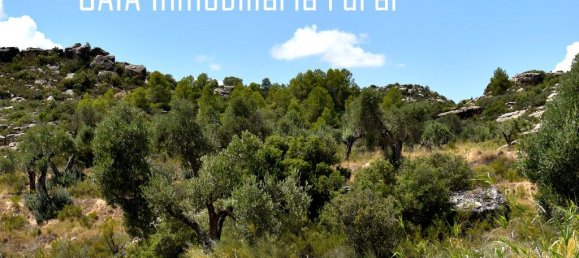 Casa T2 em Zaragoza, Spain N.º 139907 19