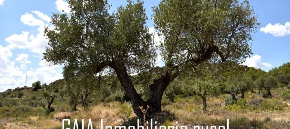 Casa T2 em Zaragoza, Spain N.º 139907 22