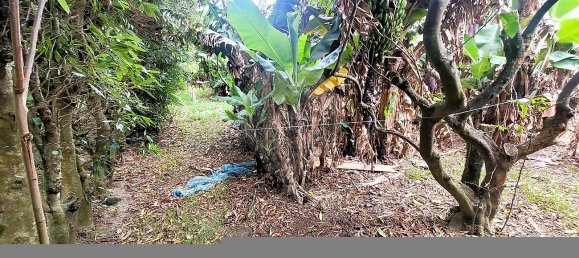 5 غرف نوم قلاع في Vila Franca do Campo, Portugal رقم 33271 22