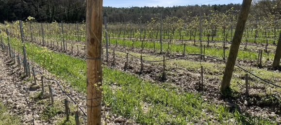 Imóvel comercial em Tourtour, France 1044 m² N.º 825 3