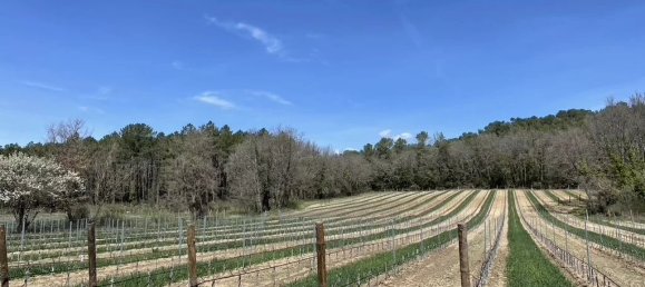 Imóvel comercial em Tourtour, France 1044 m² N.º 825 2