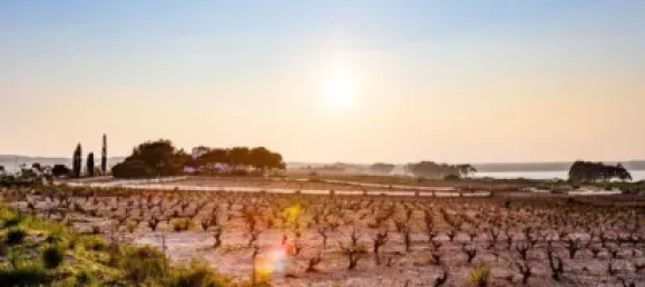 Бунгало с 1 спальней в Торревьеха, Испания № 136064 35