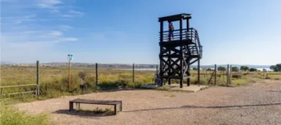 Бунгало с 1 спальней в Торревьеха, Испания № 136064 36