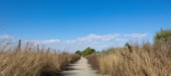 Бунгало с 1 спальней в Торревьеха, Испания № 136064 29