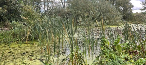 10323m² Land in Mangiennes, France No. 232843 2