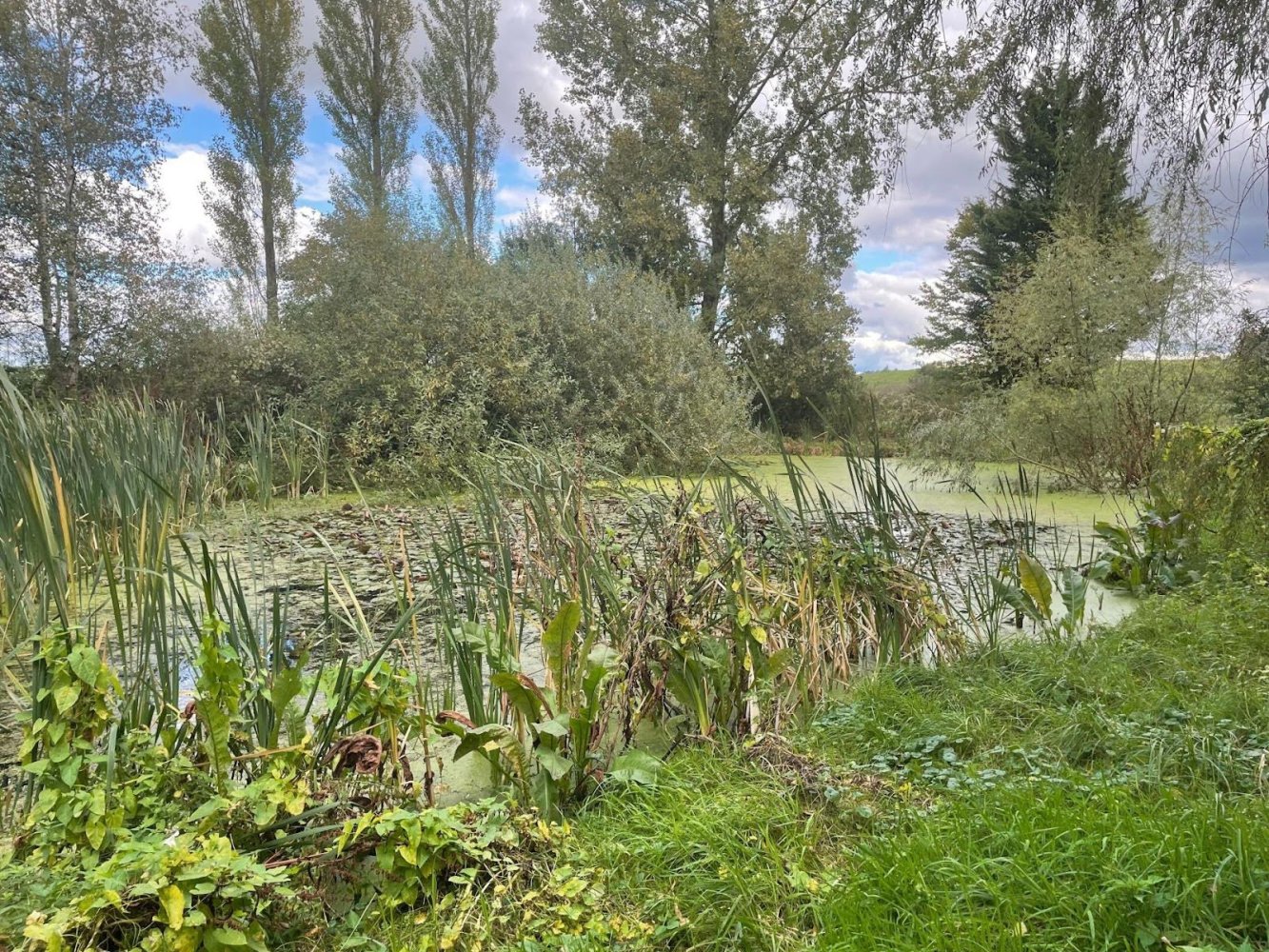 10323m² Land in Mangiennes, France No. 232843