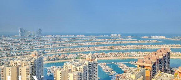 Studio in Palm Jumeirah, UAE, Nr. 101487 16