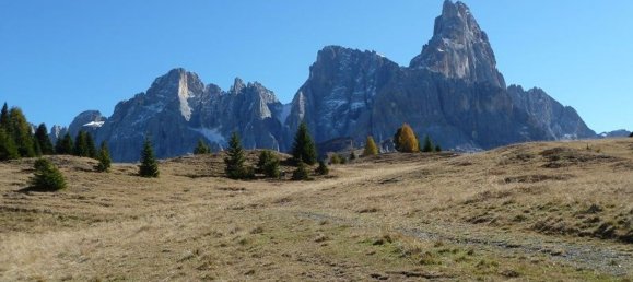 Terreno em Primiero San Martino di Castrozza, Italy 1700 m² N.º 300068 7