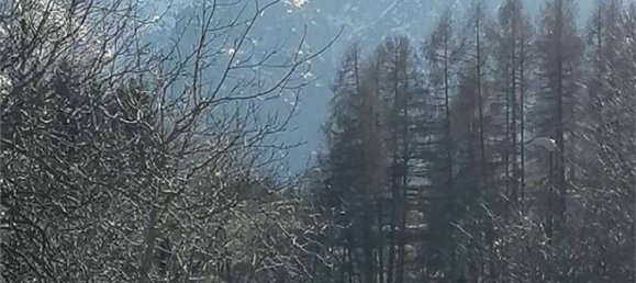 Apartamento de 2 dormitorios en Vallarsa, Italy No. 218669 12