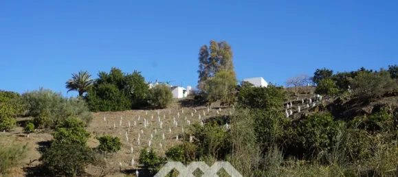 3 chambres Maison à Vinuela, Spain No. 128495 2