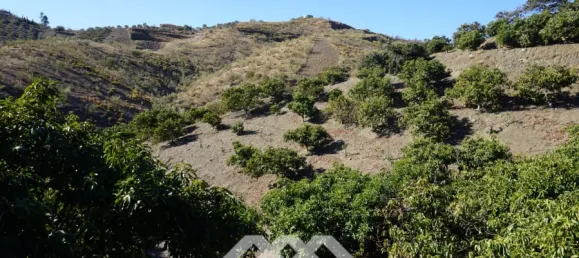 3 chambres Maison à Vinuela, Spain No. 128495 7