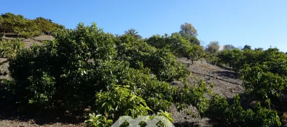 3 chambres Maison à Vinuela, Spain No. 128495 6