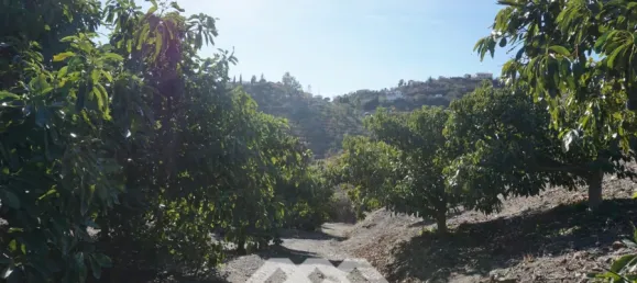 3 chambres Maison à Vinuela, Spain No. 128495 9