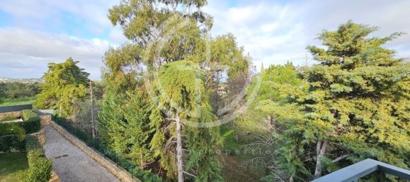 3 bedrooms House in Silves, Portugal No. 116911 43