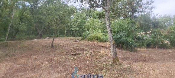 Terrain à Uzès, France 1500m² No. 100029 7