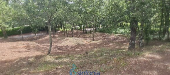 Terrain à Uzès, France 1500m² No. 100029 11