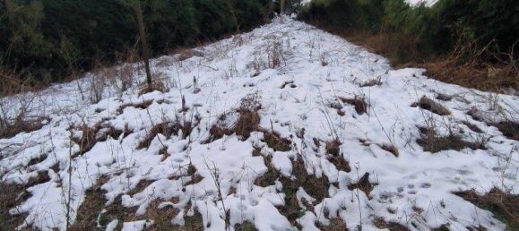 3 Schlafzimmer Haus in Burbure, France, Nr. 58951 14