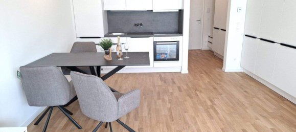 Studio in Maria Enzersdorf, Austria, Nr. 256759 3