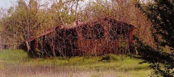 15 rooms Villa in Monticelli d'Ongina, Italy No. 20371 4