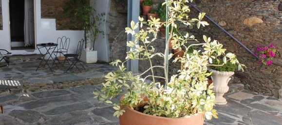 10 غرف نوم منزل في Mirandela, Portugal رقم 50004 9