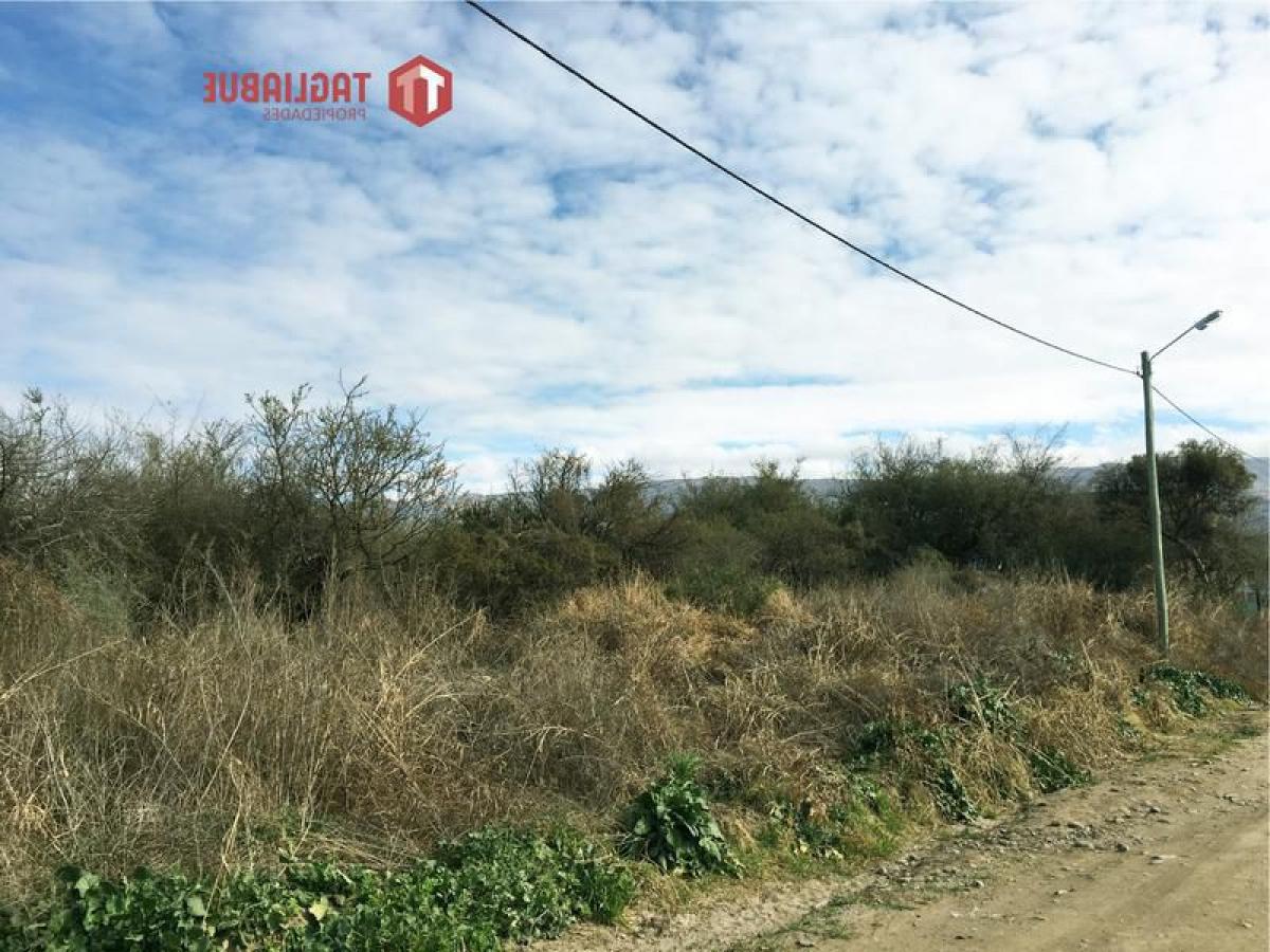  قطعة أرض في San Luis, Argentina رقم 43993