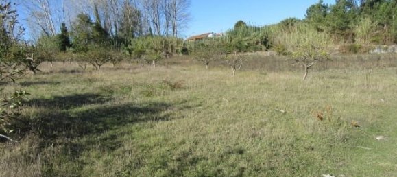 Casa de 5 dormitorios en Leiria, Portugal No. 140558 25