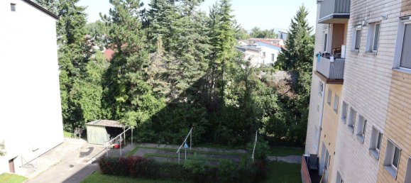 4 rooms Apartment in Leonding, Austria No. 240319 10