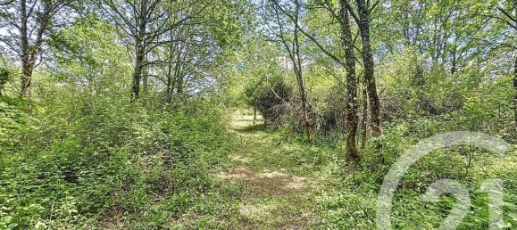 2 غرف نوم منزل في Chaumont-sur-Tharonne, France رقم 58968 17